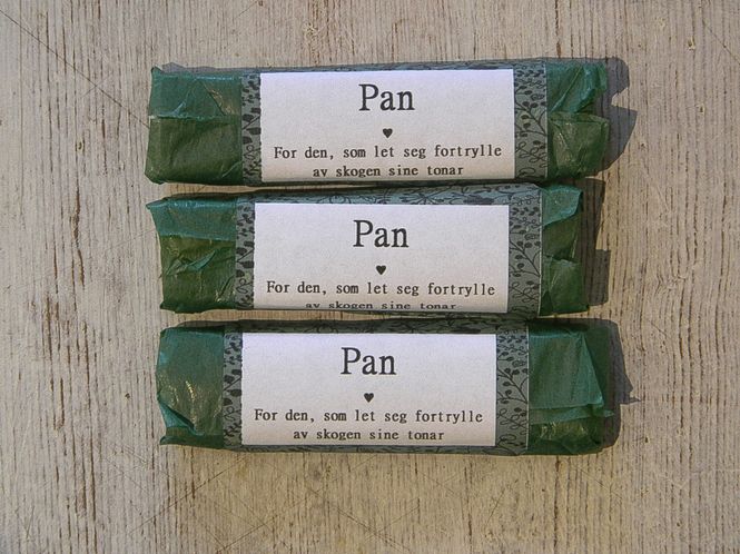 Hovedbilde Pan testar